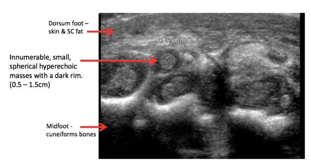 Screen Shot 2019-02-14 at 9.44.48 PM