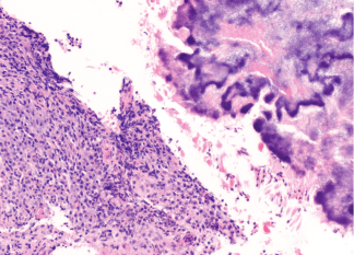 Screen Shot 2019-02-14 at 9.45.43 PM