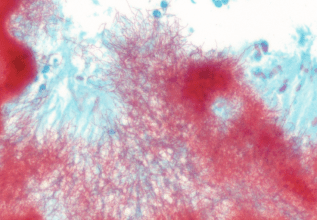 Screen Shot 2019-02-14 at 9.48.30 PM